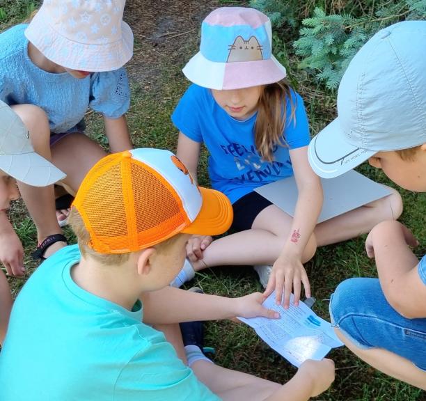 Vasara, piratai ir biblioteka