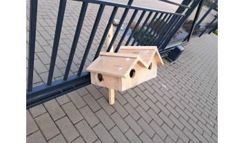 Lenkevičius Antanas