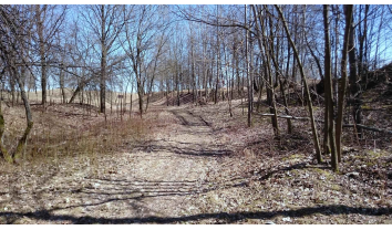 Kauno tvirtovės Domeikavos fortas