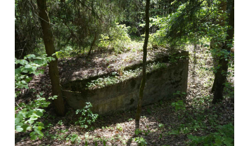 Pirmojo pasaulinio karo Palemono–Narėpų gynybinių įtvirtinimų linijos šiaurinės dalies slėptuvių pirmo komplekso septinta aktyvioji slėptuvė