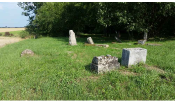 Žydų kapinės Čekiškėje