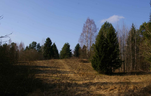 0001_dubr1_1_11zon_1786344290-78dfe7e27af6da656cddabdde1d5d669.jpg
