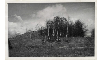 Žiegždrių piliakalnis, Samylų sen.