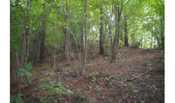 Girionių piliakalnis, Samylų sen.