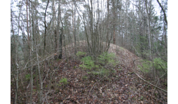 Jadagonių piliakalnis, Zapyškio sen.