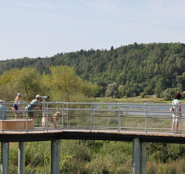 Kačerginės pažintinis takas atvers Nemuno slėnio kraštovaizdį, kvies į vabzdžių viešbutį ir paukščių regyklas