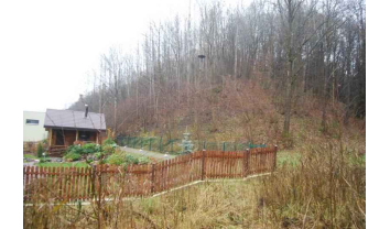 Naujasodžio piliakalnis, Karmėlavos sen.