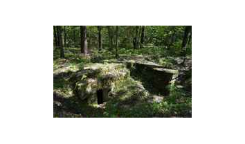 Pirmojo pasaulinio karo Palemono–Narėpų gynybinių įtvirtinimų linijos šiaurinės dalies slėptuvių pirmo komplekso trečia pasyvioji slėptuvė