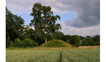 Vikūnų piliakalnis, Babtų sen.