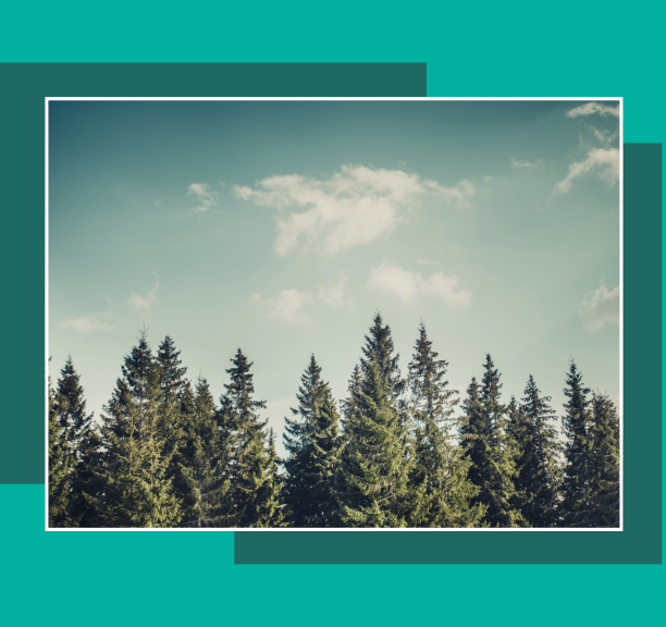 1863–1864 m. sukilimas – tautos dvasios išbandymas