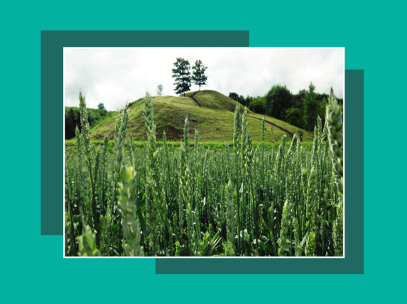 Kauno rajono piliakalniai