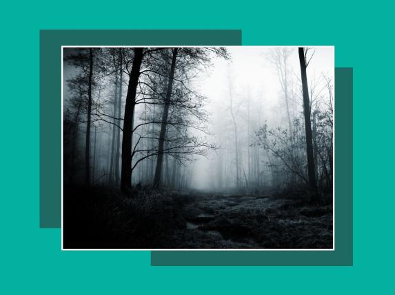 Partizanų kovos pėdsakais: istorija, kurią būtina prisiminti