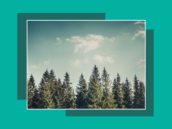 1863–1864 m. sukilimo įvykių atgarsiai  Kauno rajone